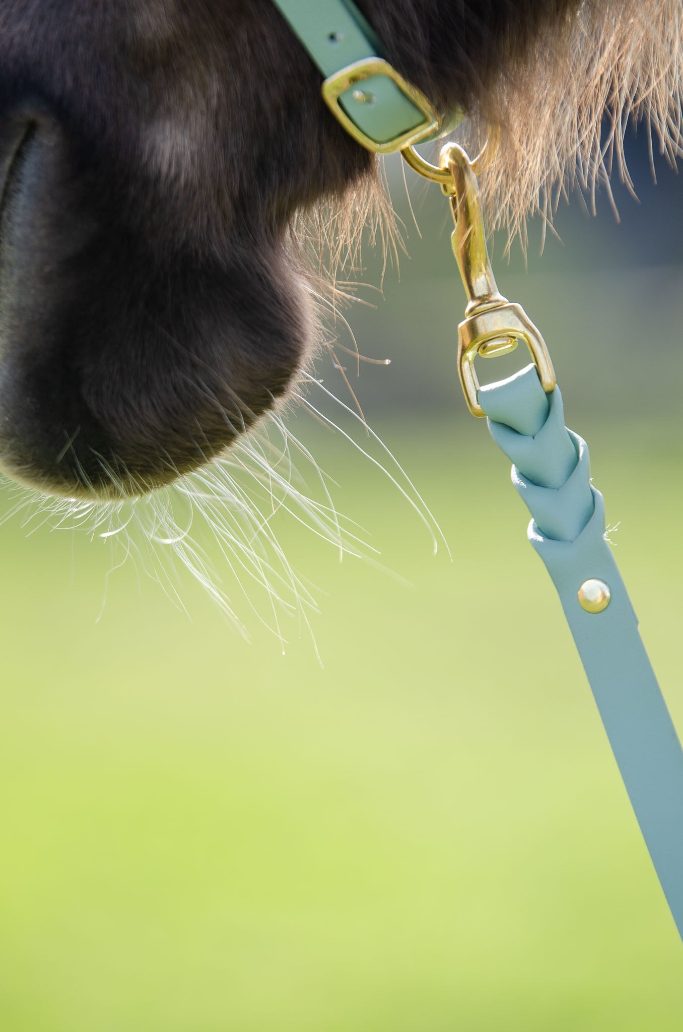 Biothane Leadrope 4meter | Myrthe's paardenpassie