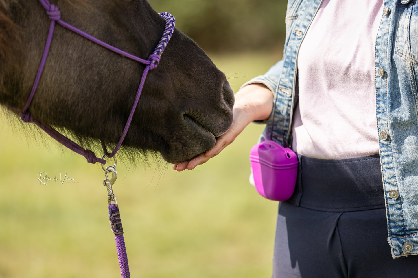 Meekijk moment Clicker -& targettraining | Myrthe's paardenpassie
