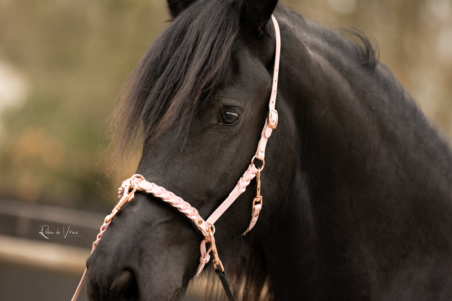 Meekijk moment Grondwerk | Myrthe's paardenpassie