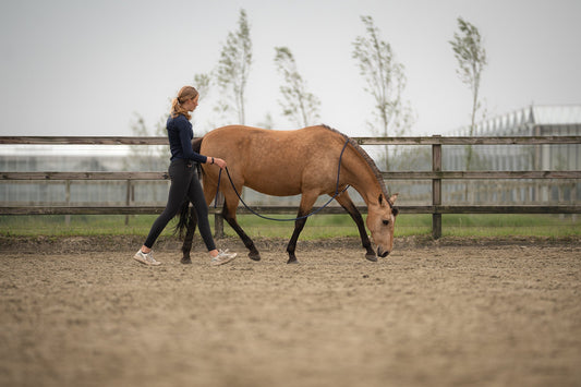 De libertyline van nativeropes: