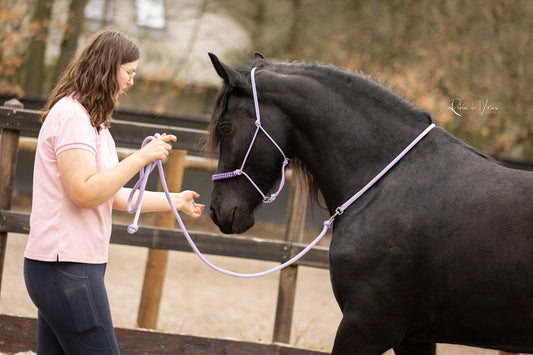 Persoonlijk Trainingstraject | Myrthe's Paardenpassie