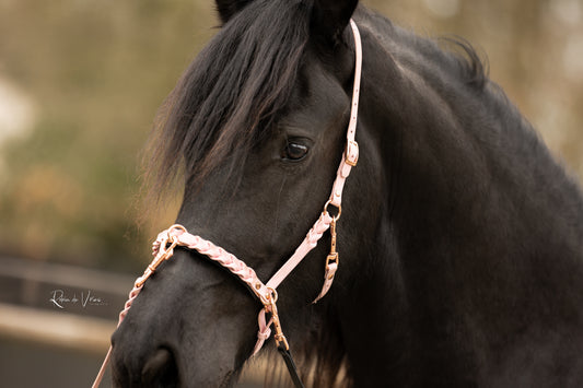 Groundwork Preview | Myrthe's Horse Passion