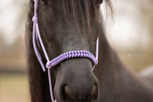 Touwhalster vissengraat 2025-2026