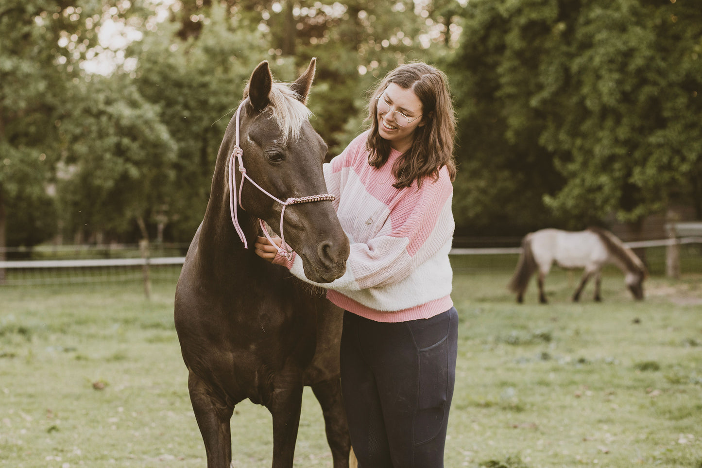 Myrthe's Stable Stories - maandelijks Content abonnement