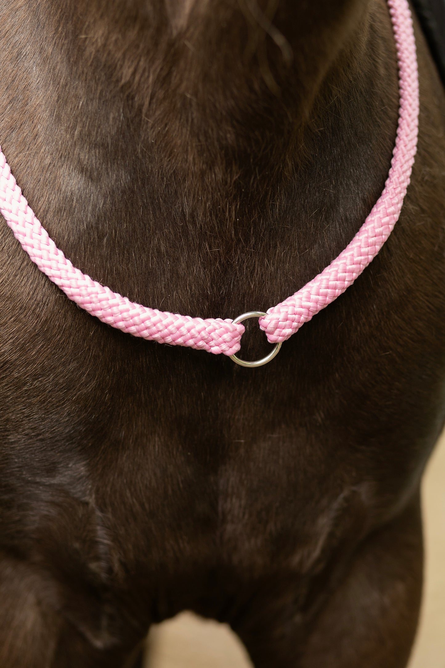 Neckrope with ring basic